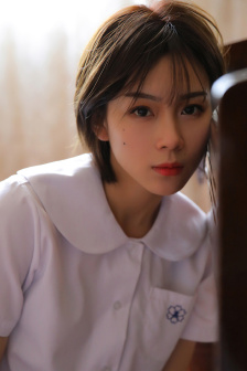 金瓶双艳杨思群版全集